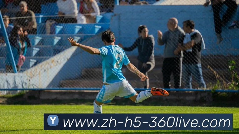 360直播平台生态图