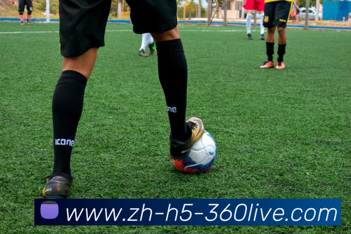 辅助工具 辅助工具